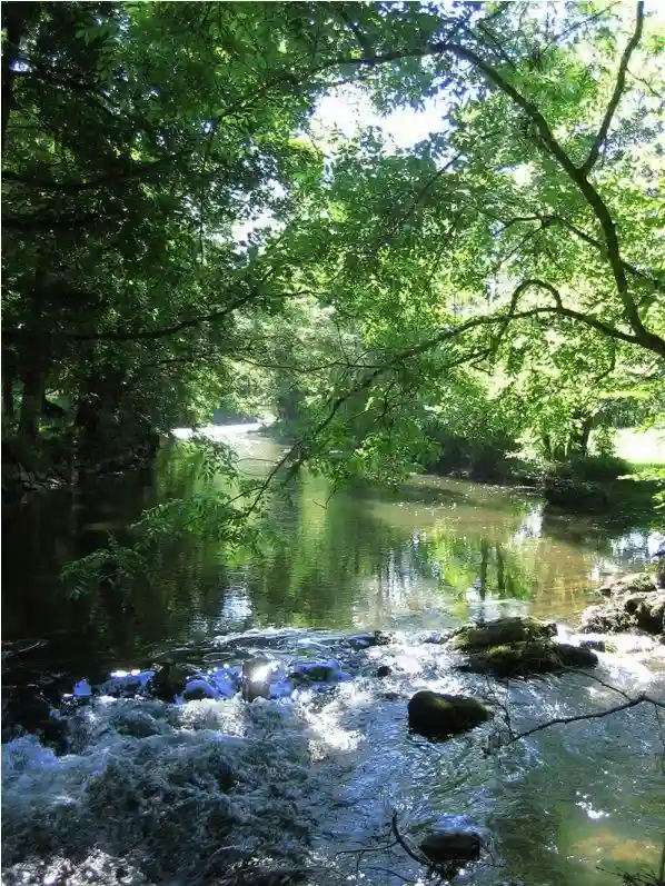 Ruines du Château d'Ardenne et tour Léopold