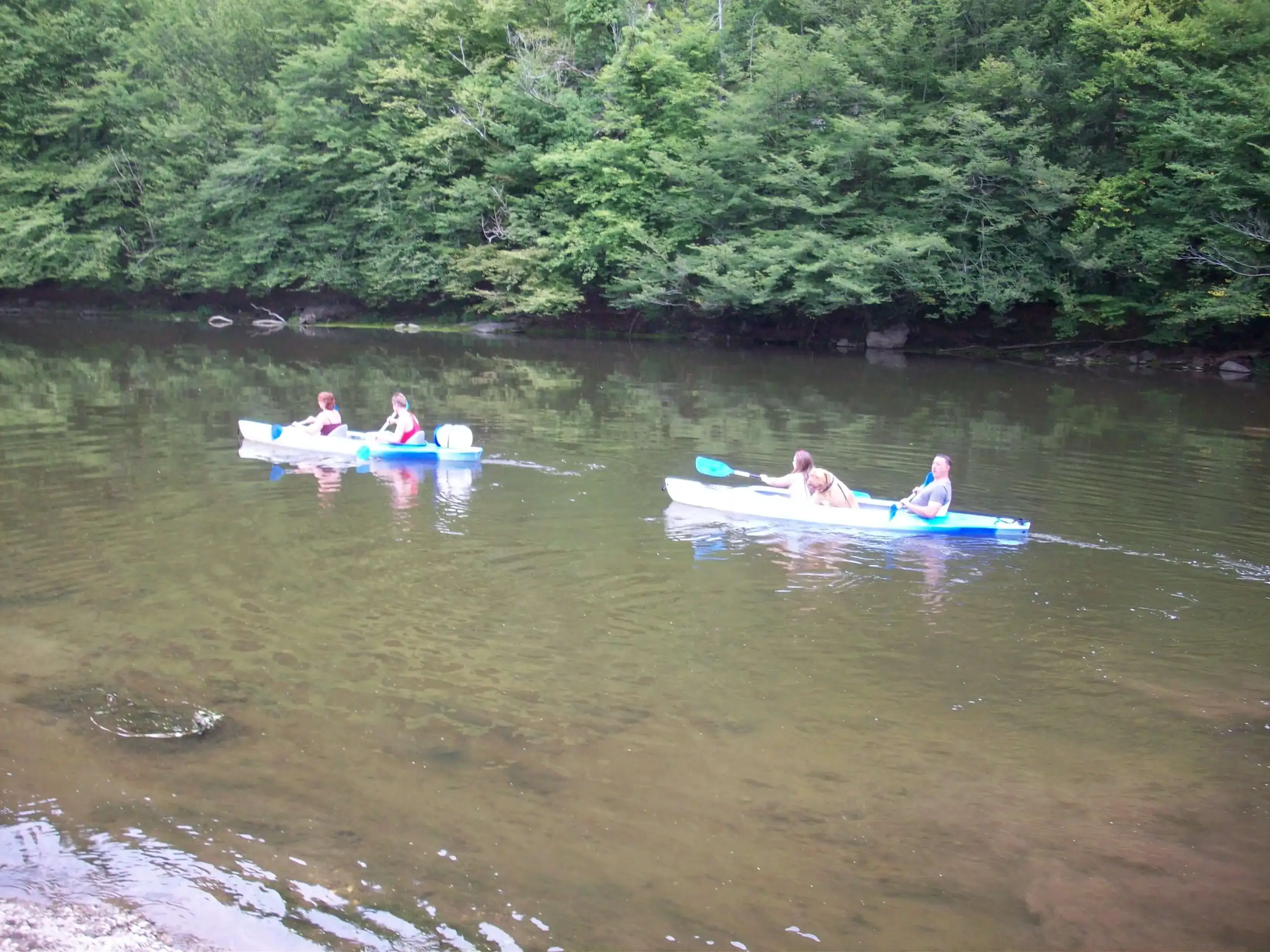 Camping an der Semois