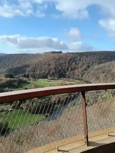 Natürlicher Mäander der Semois Panoramablick Vresse-sur-Semois