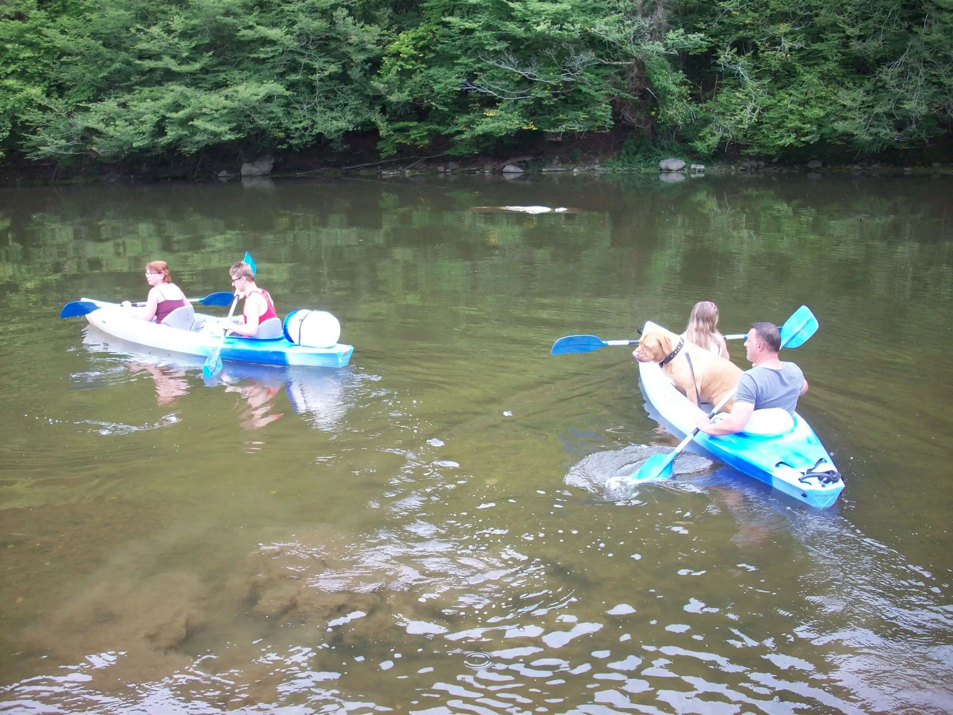 Nature autour der camping