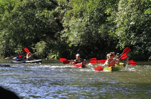 Double kayak on the Ourthe — duo or family route