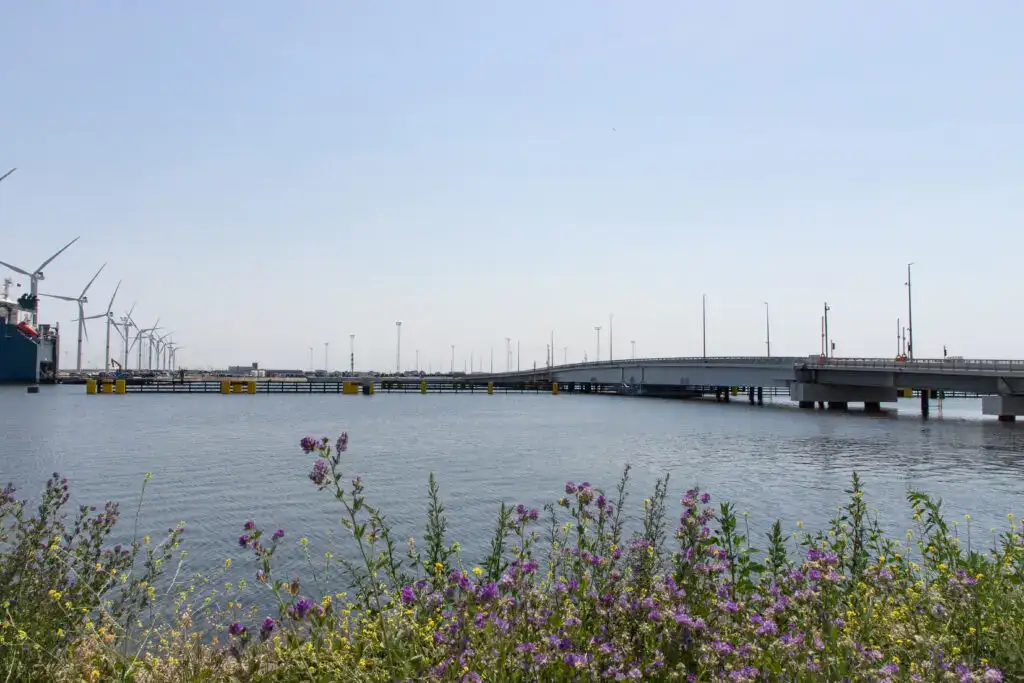 Hikers admiring the landscape