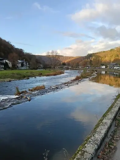 Plunging view of the Semois river and the Ardennes forest