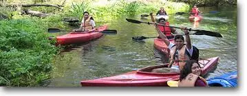 Sfeer natuur teambuilding