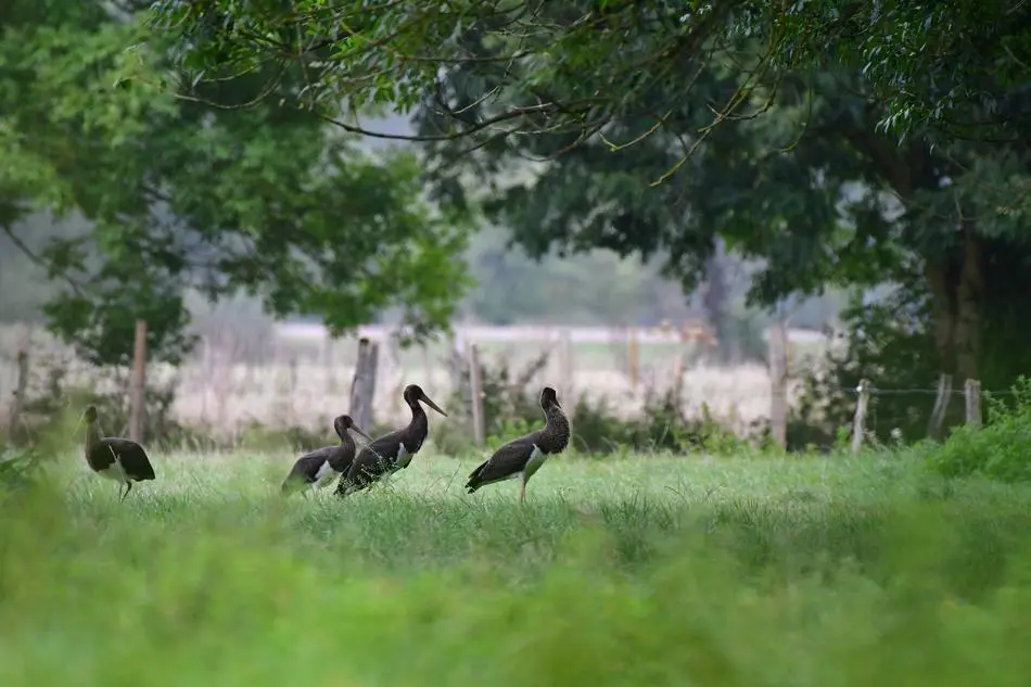 Natura 2000 information panel in the Semois Valley (Bouillon – Vresse)