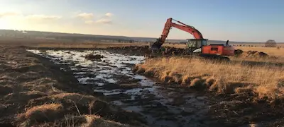 Hersteld veengebied door het LIFE Croix-Scaille project in Wallonië