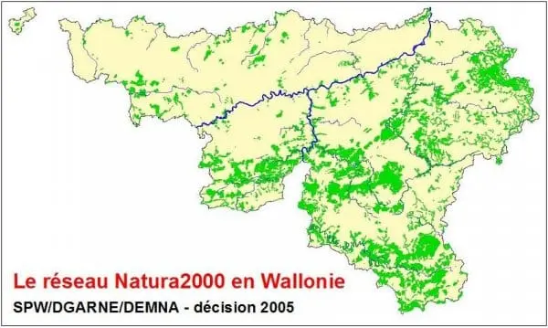 Speciale Beschermingszone Natura 2000 – Waalse vochtige graslanden en heide