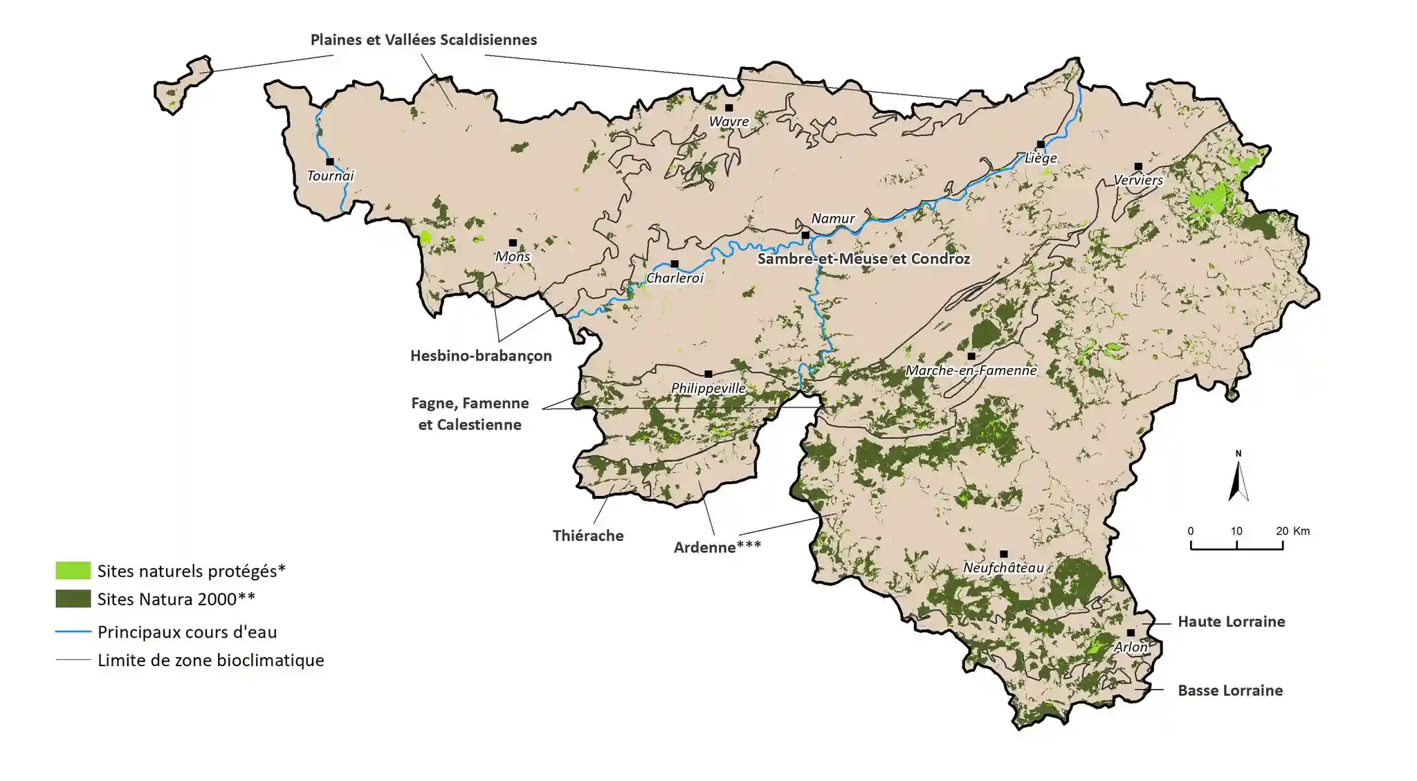 Alluviaal bos BE 7 – beschermd overstromingsgebied in Natura 2000