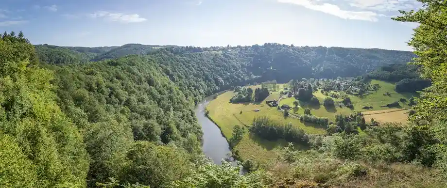 Ardens bos in herfstkleuren in het Nationaal Park van de Semois – eeuwenoude beuken