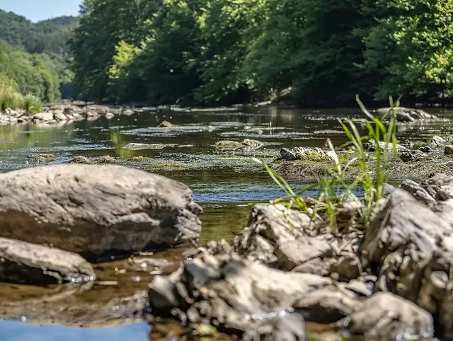 Kajakken op de Semois door het Nationaal Park van de Semoisvallei