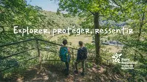 Europese bever in de Semois – met succes geherintroduceerd in het nationale park