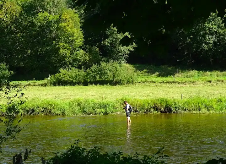 Pêche à la truite sur la Semois - Paysage ardennais