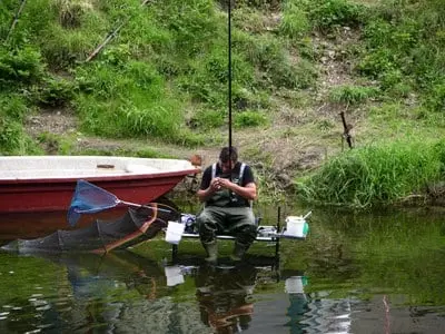 Faune sauvage des berges de la Semois