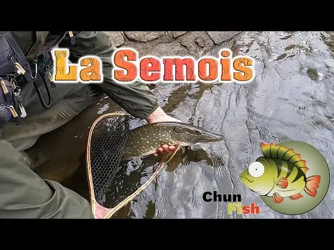 Techniques de pêche à la truite sur la Semois