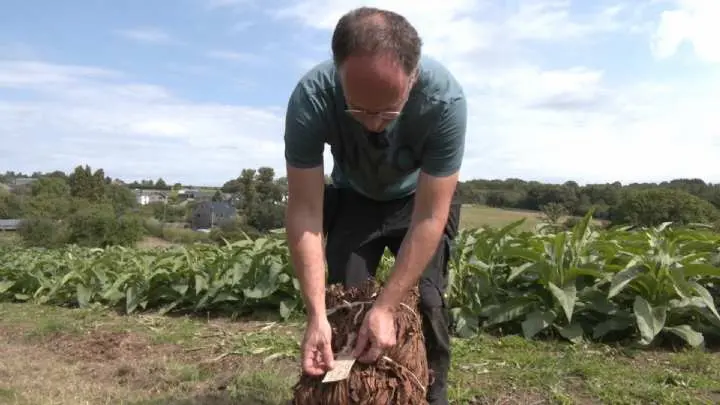 Vue de la Semois et du village de Poupehan