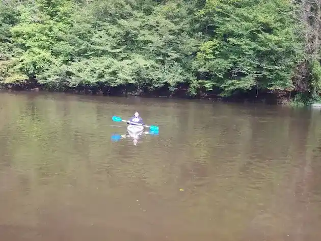 Niveau d'eau actuel de la Semois