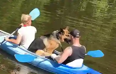 Descente de la Semois en kayak - Parcours Alle-Vresse (7km)