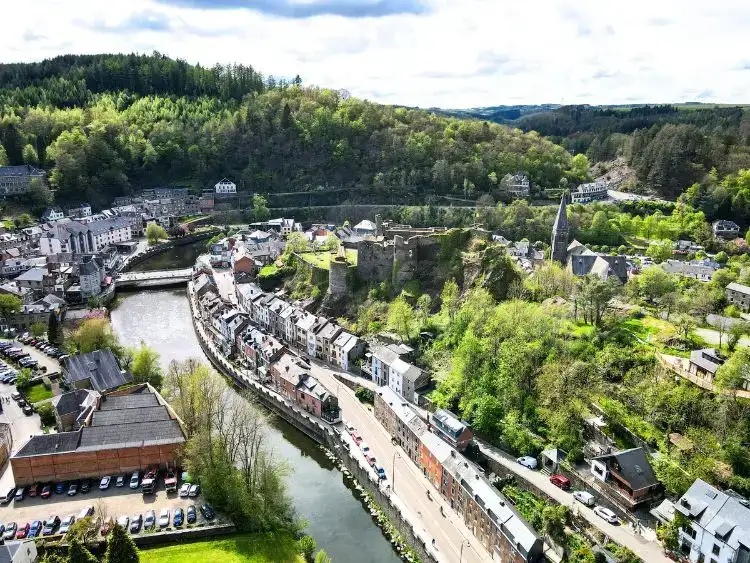 Sangliers dans le Parc à Gibier