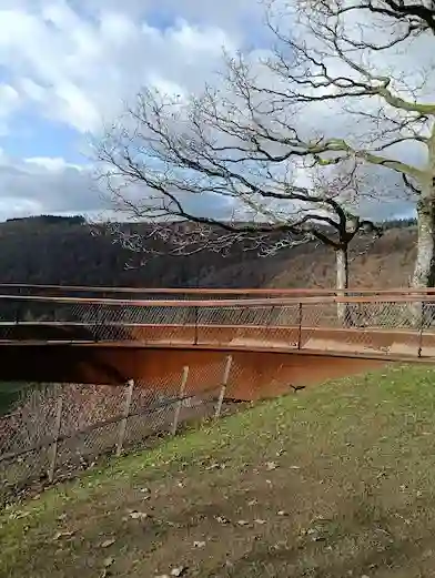 Paysage forestier Ardenne belge vallée de la Semois