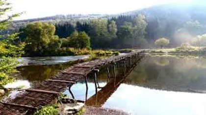 Wandelaars steken de vlechtwerkbrug over in de zomer