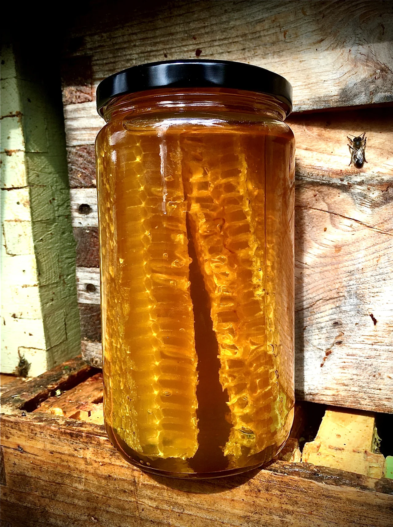 Miel de printemps ardennais — clair et floral