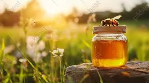 Miel de forêt ardennais — ambré foncé, riche en minéraux