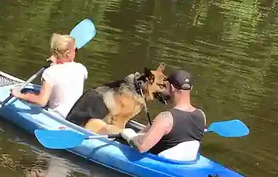 Familie-uitstapjes in de Belgische Ardennen - perfect om te ontspannen met vrienden of familie